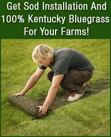 Local outdoor landscaping for beautiful yards in Pingree, ID by Woods Sod Farm