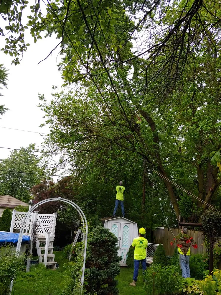 Professional yard cleanup service with custom design in Monclova, OH by Woods Tree & Lawn Service