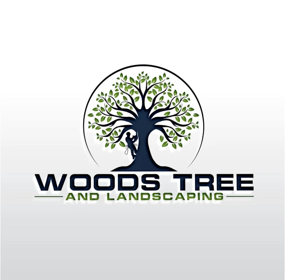 Top-rated lawn care service for year-round maintenance across Fairfax, VA - Woods Tree And Landscaping