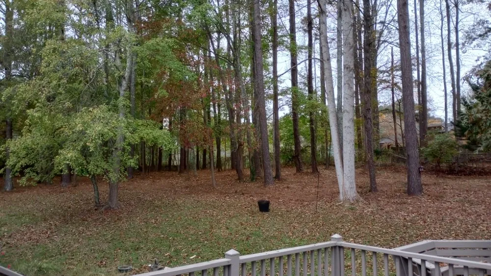 Reliable landscaping services experts serving Acworth, GA - Woodscrapers Land Solutions