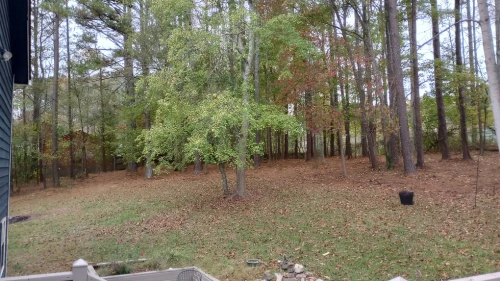 Reliable lawn mowing service with custom design across Acworth, GA - Woodscrapers Land Solutions