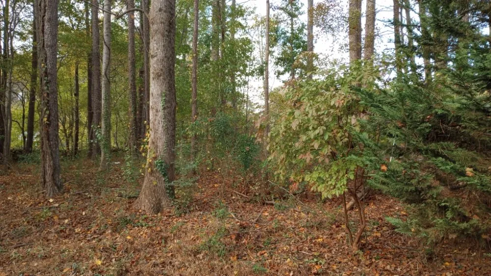 Expert landscape installation for homes across Acworth, GA - Woodscrapers Land Solutions