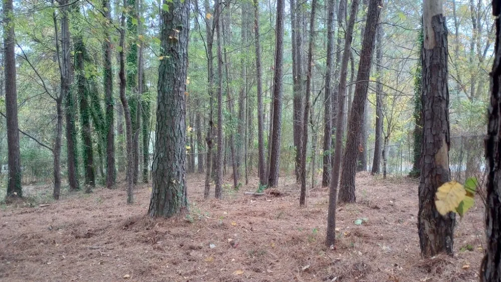 Local landscape installation for year-round maintenance across Acworth, GA - Woodscrapers Land Solutions