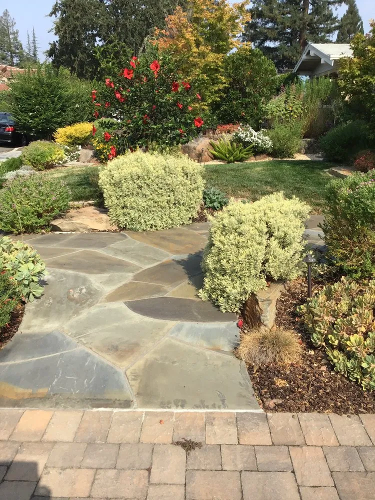 Custom lawn care service experts serving Redwood City, CA - Woodside Landscaping
