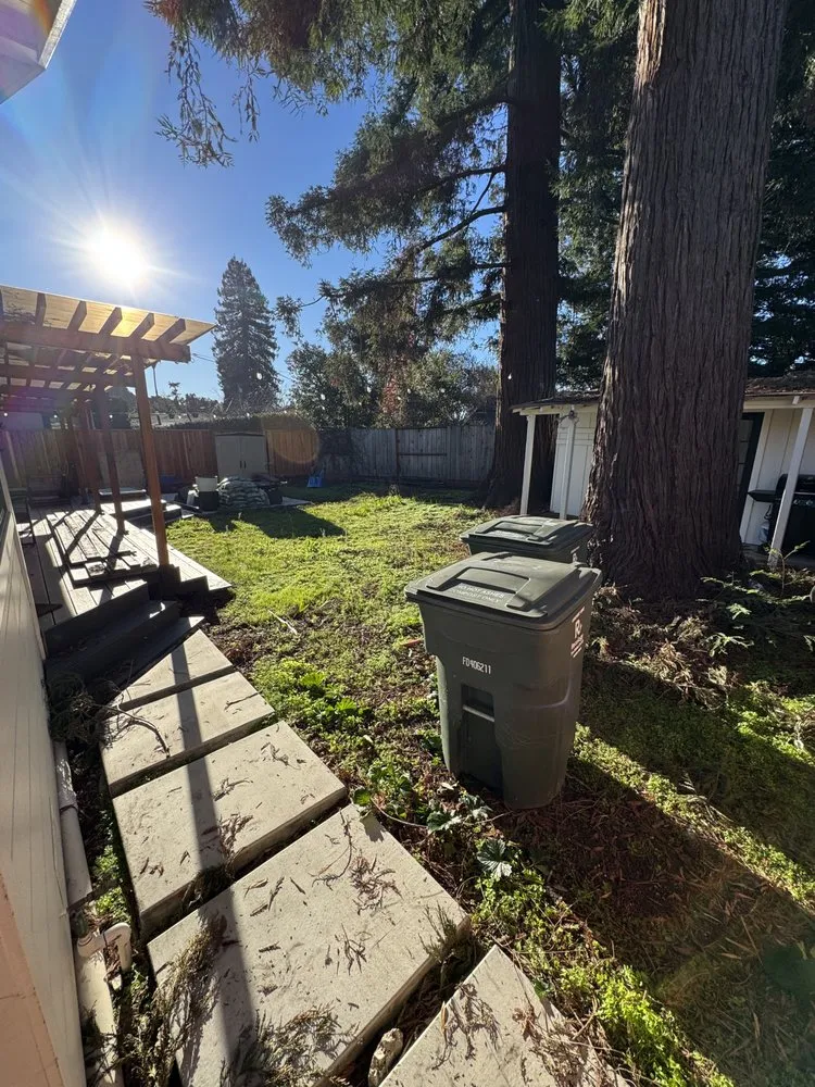 Custom yard cleanup service in Redwood City, CA by Woodside Landscaping