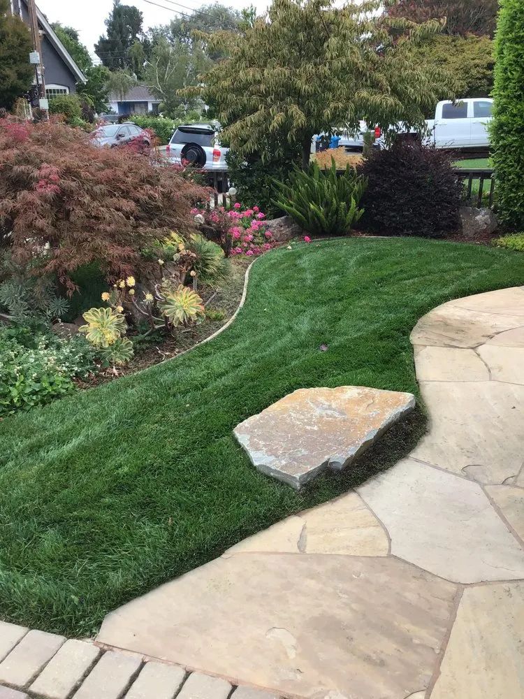 Reliable outdoor landscaping in Redwood City, CA by Woodside Landscaping