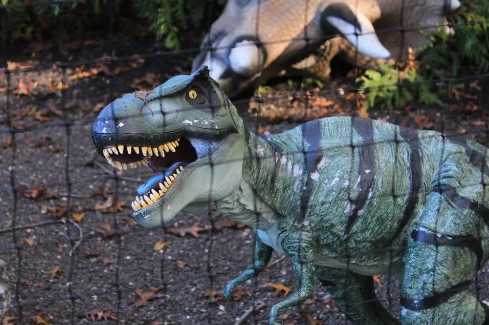 Affordable residential landscaping in Patchogue, NY - Woodside Nursery & Garden Center