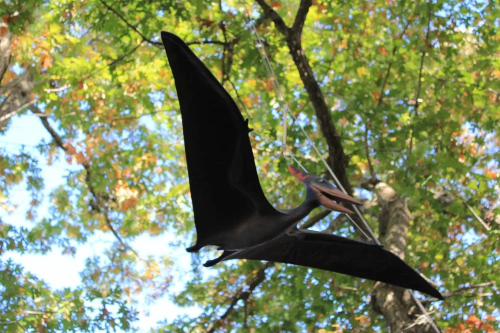 Custom lawn mowing service in Patchogue, NY by Woodside Nursery & Garden Center