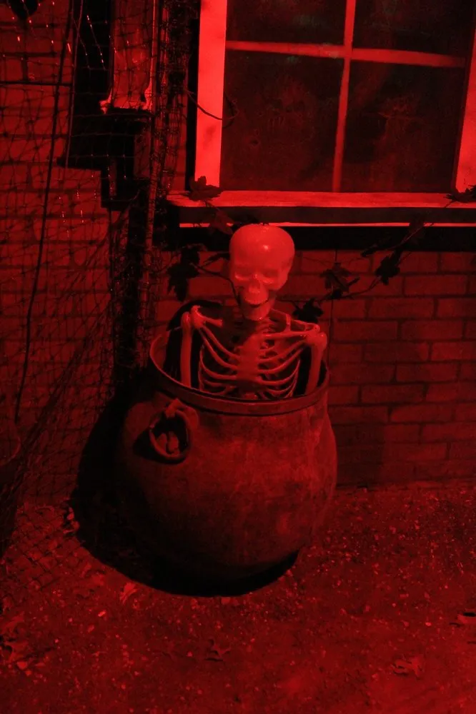 Custom landscape installation experts serving Patchogue, NY - Woodside Nursery & Garden Center