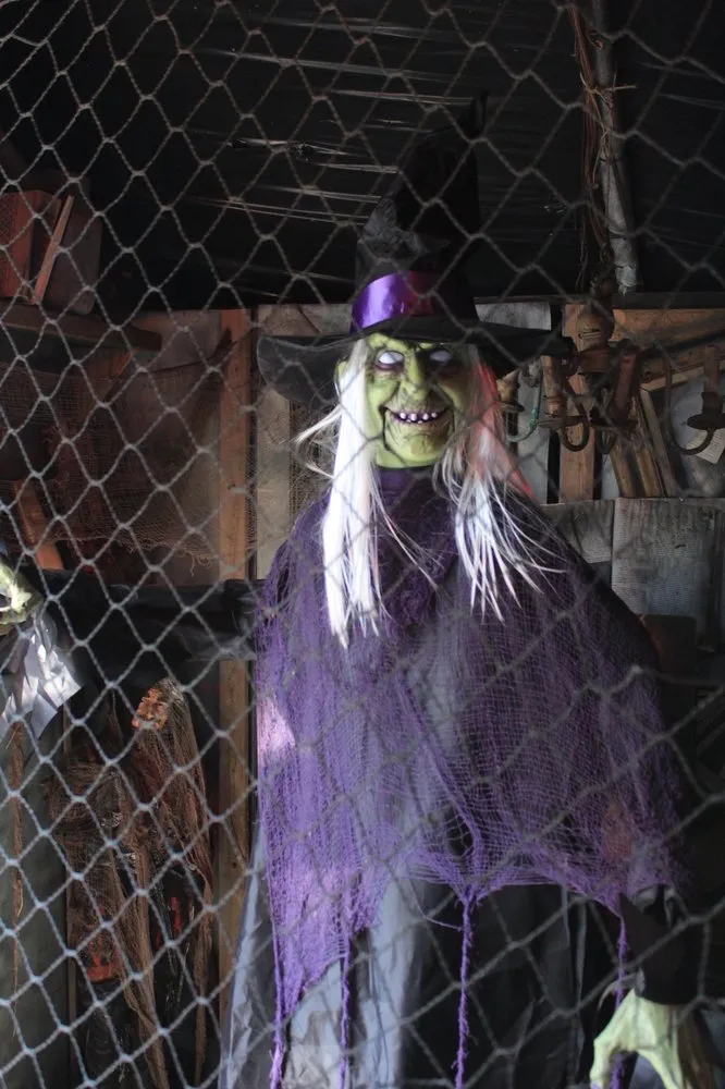 Top-rated garden landscaping in Patchogue, NY - Woodside Nursery & Garden Center