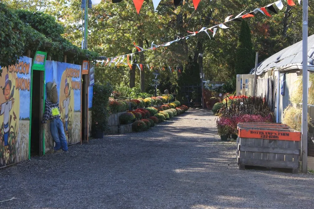 Custom landscape installation in Patchogue, NY by Woodside Nursery & Garden Center