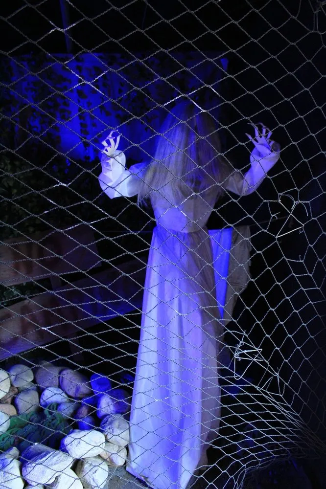 Top-rated landscape installation in Patchogue, NY by Woodside Nursery & Garden Center