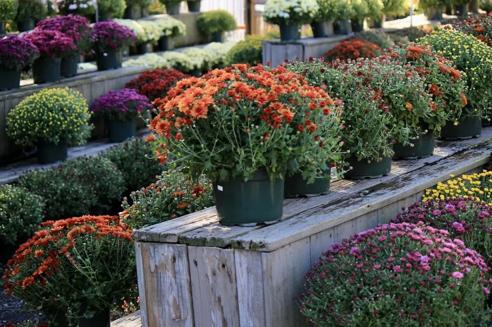 Professional landscape installation in Patchogue, NY by Woodside Nursery & Garden Center