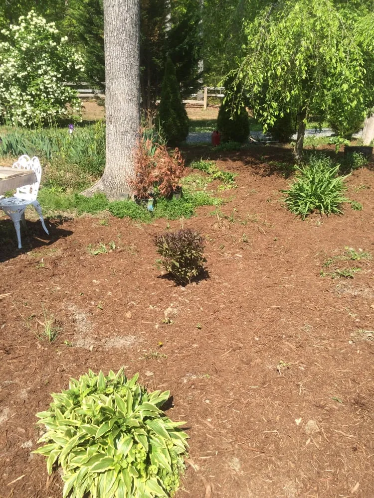 Expert landscape design with custom design across Spotsylvania, VA - Woodson Landscaping