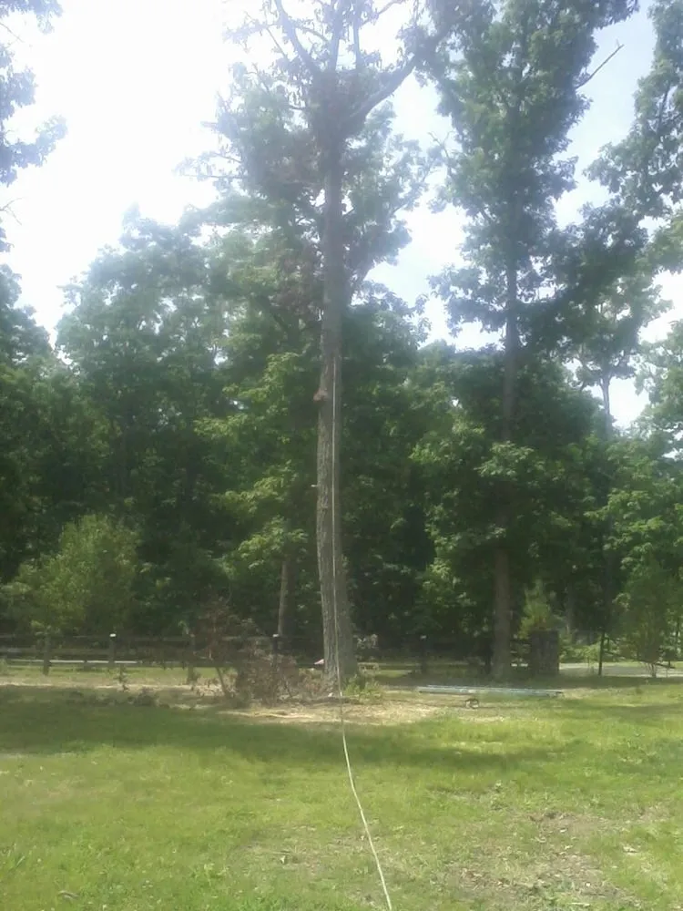 Professional landscaping services for beautiful yards across Spotsylvania, VA - Woodson Landscaping