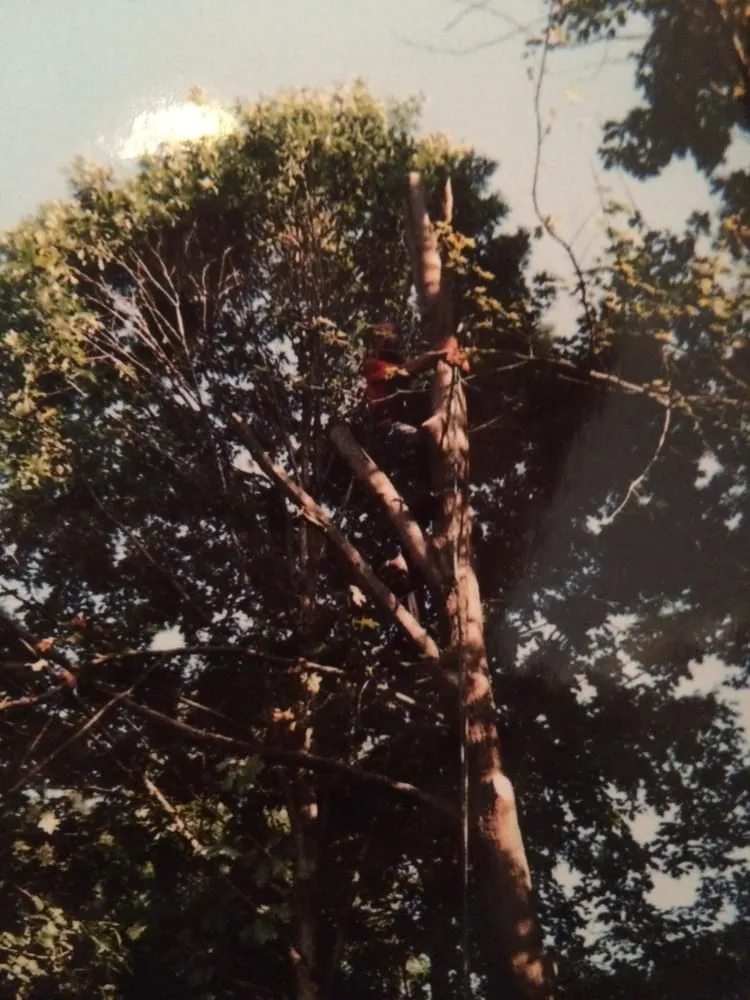 Custom lawn care service for beautiful yards in Spotsylvania, VA by Woodson Landscaping