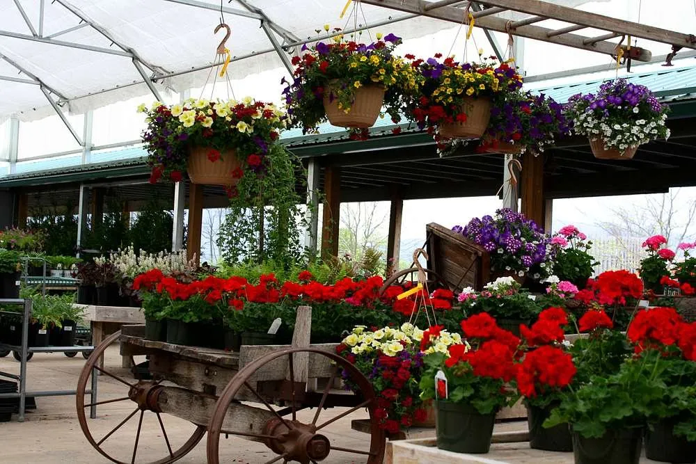 Affordable landscape installation in Woodstock, VA by Woodstock Gardens