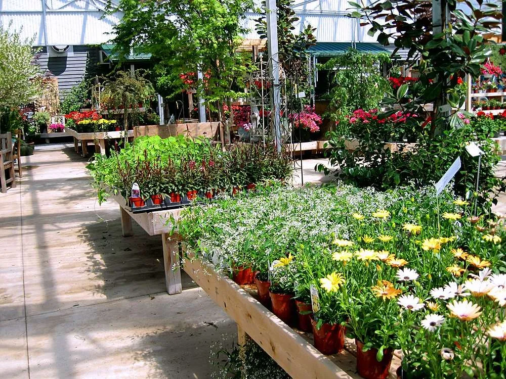 Custom landscaping services for year-round maintenance in Woodstock, VA by Woodstock Gardens