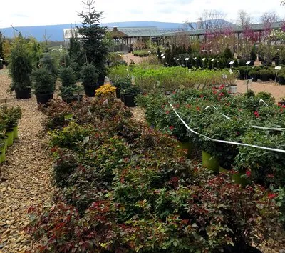 Affordable landscape installation for residential properties across Woodstock, VA - Woodstock Gardens