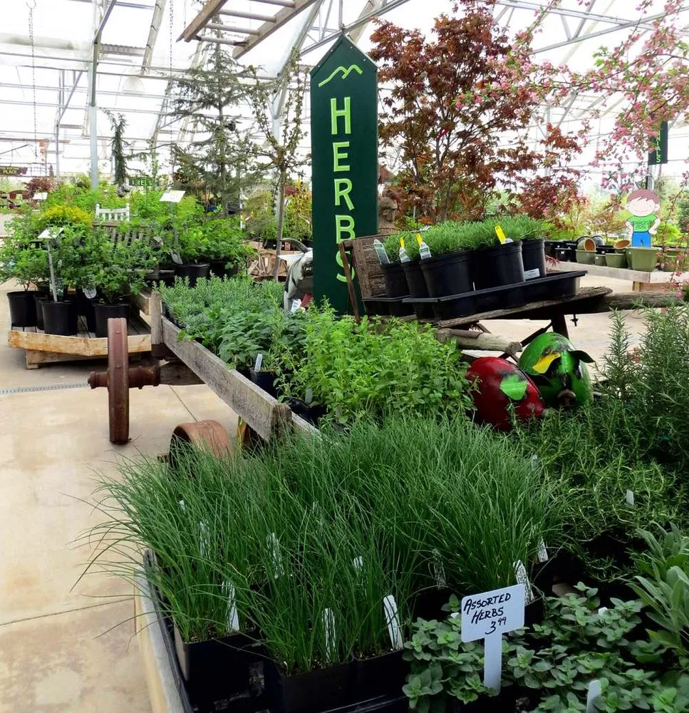 Custom landscape installation in Woodstock, VA - Woodstock Gardens