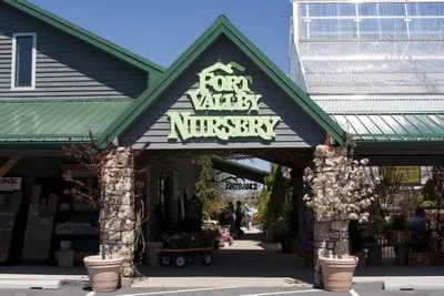 Expert landscape design for beautiful yards in Woodstock, VA by Woodstock Gardens