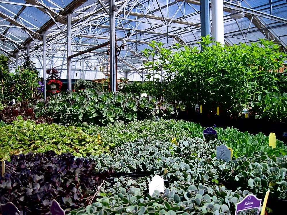 Custom residential landscaping experts serving Woodstock, VA - Woodstock Gardens