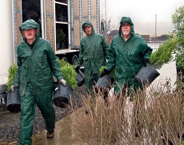 Reliable lawn care service in Woodstock, VA - Woodstock Gardens