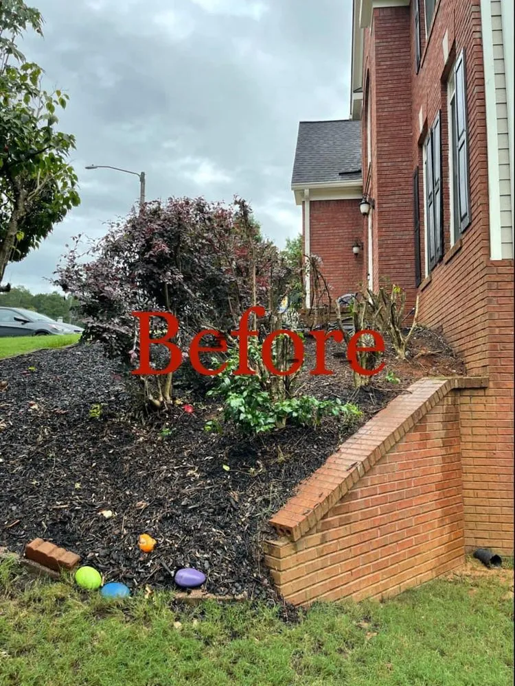 Top-rated landscape installation experts serving Canton, GA - Woodstock Landscape Design Group