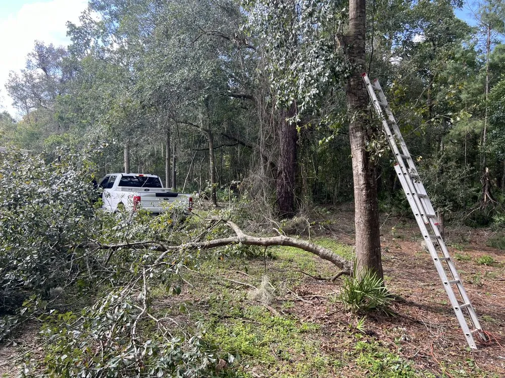 Trusted yard maintenance in Jacksonville, FL - Woodswork Maintenance