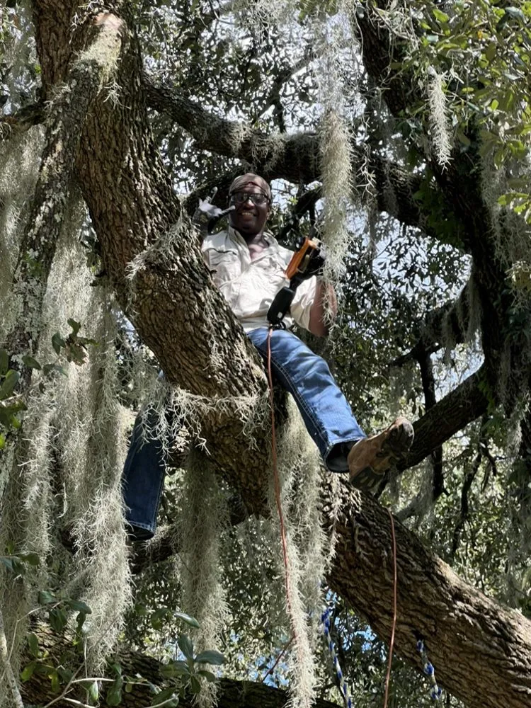 Local yard cleanup service experts serving Jacksonville, FL - Woodswork Maintenance