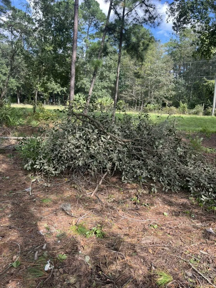Expert yard cleanup service experts serving Jacksonville, FL - Woodswork Maintenance