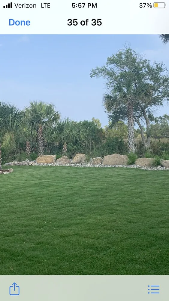 Professional yard maintenance near you in McClellanville, SC by Woodsy landscaping