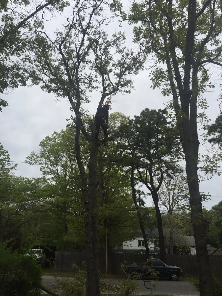 Trusted landscape installation for residential properties in East Patchogue, NY by Woodvalley Contractors