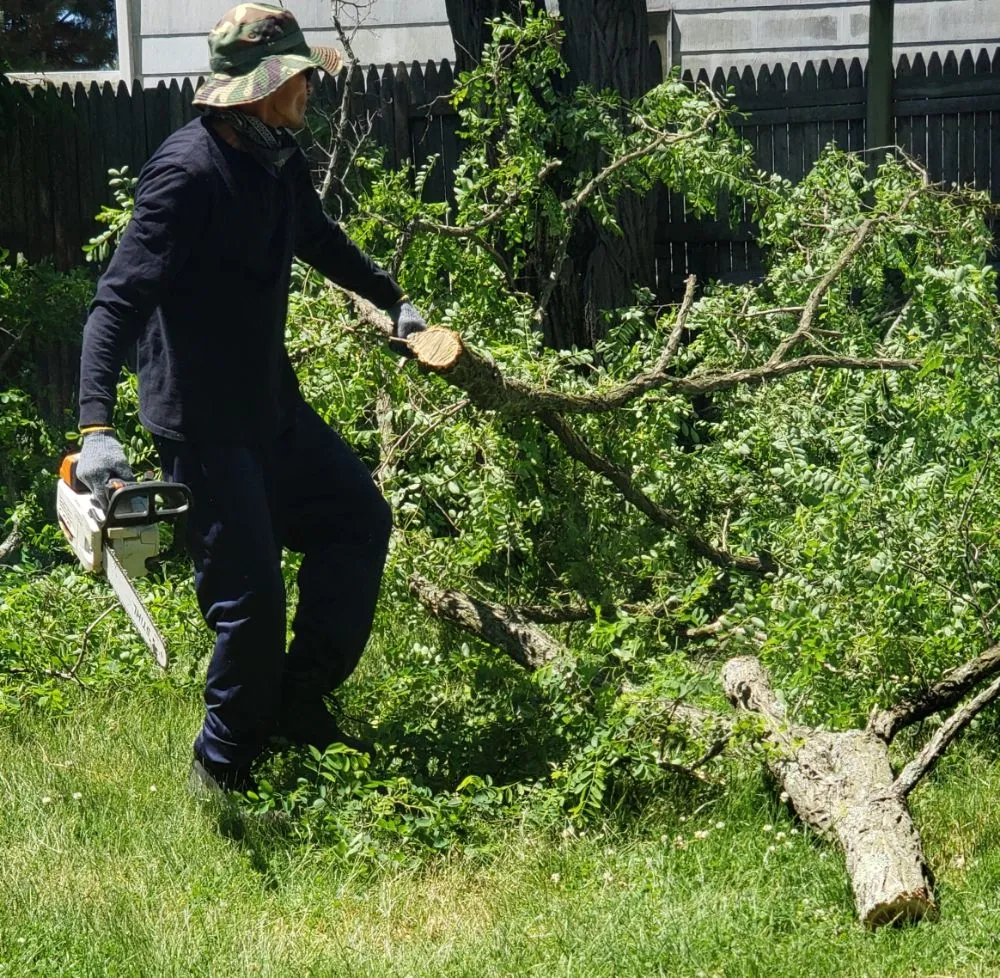 Trusted lawn care service experts serving East Patchogue, NY - Woodvalley Contractors