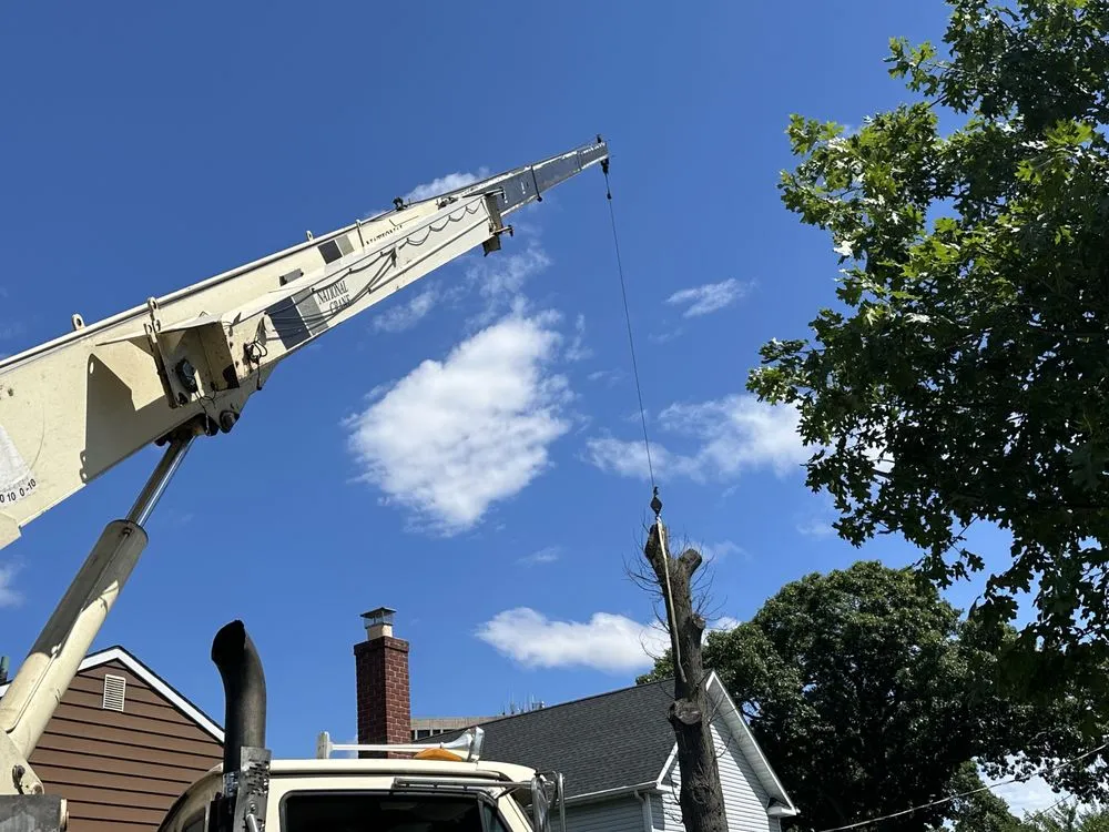 Local lawn care service in East Patchogue, NY - Woodvalley Contractors