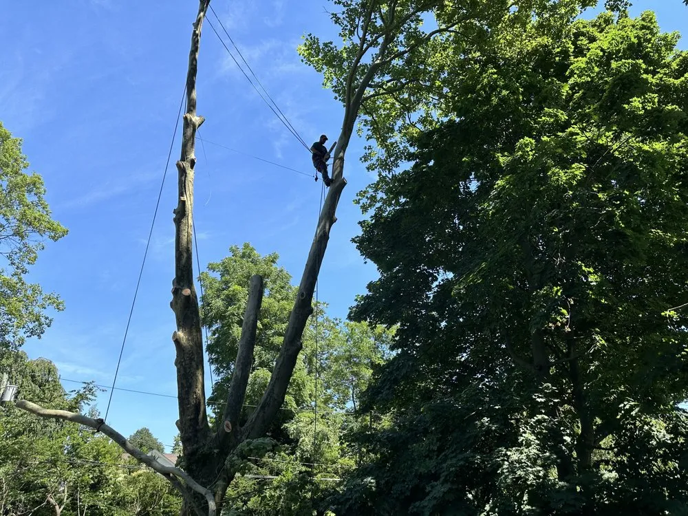 Custom landscaping services in East Patchogue, NY by Woodvalley Contractors