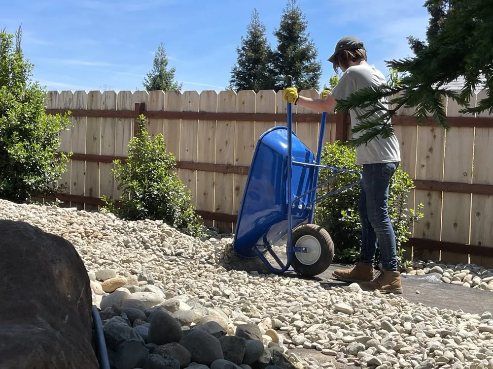 Expert yard cleanup service experts serving Chico, CA - Woodward Landscaping