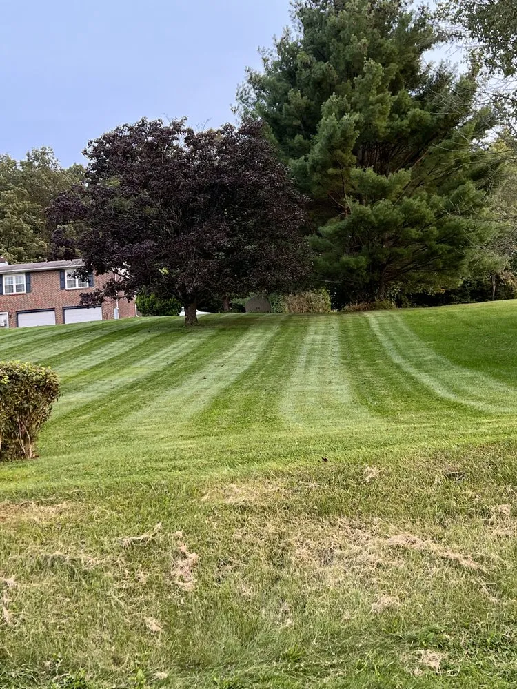 Expert outdoor landscaping experts serving Mcalisterville, PA - Woodward's Landscaping