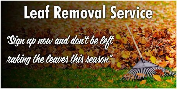 Trusted landscape installation near you across Rosedale, MD - Woody Lawn Care