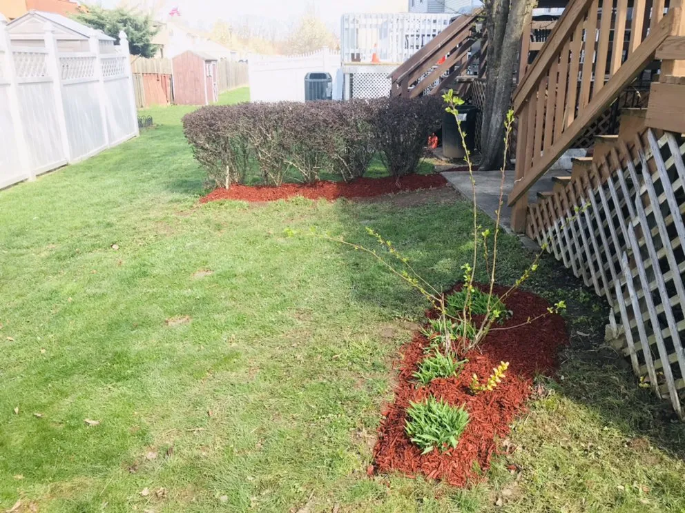 Affordable yard maintenance in Rosedale, MD - Woody Lawn Care