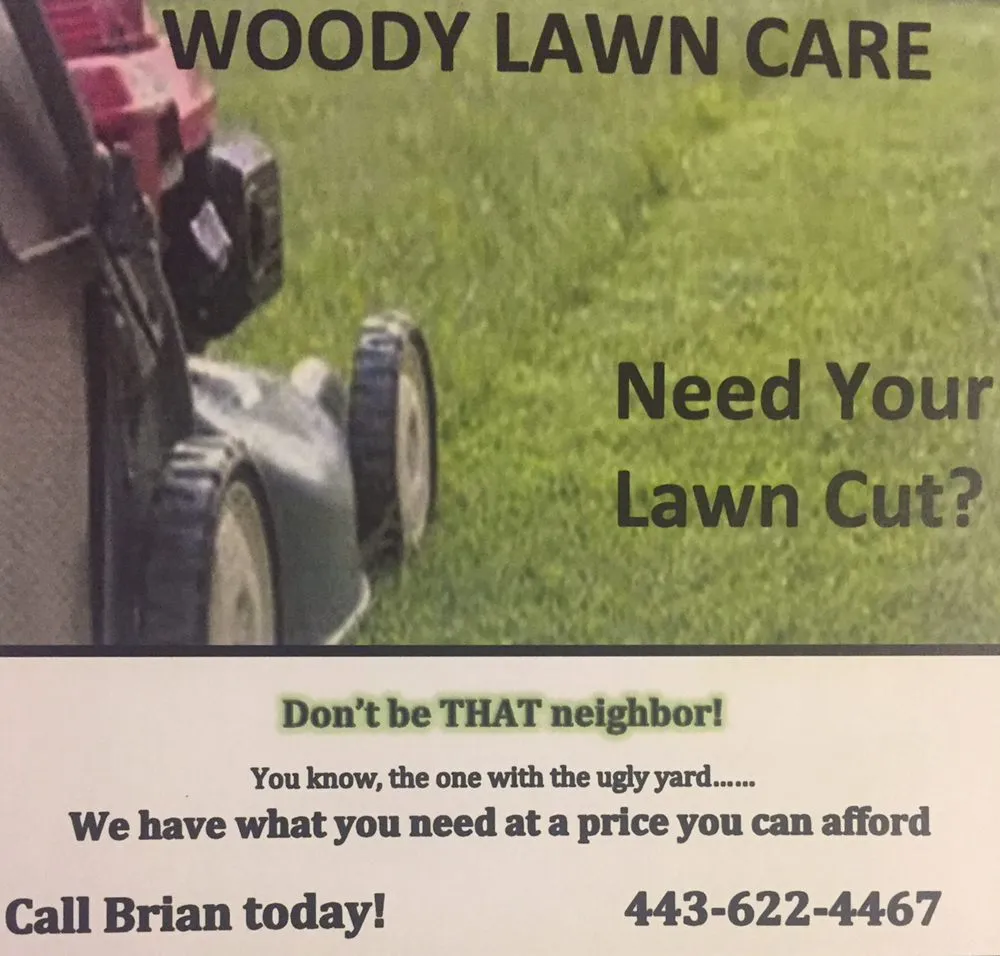 Expert lawn care service with custom design across Rosedale, MD - Woody Lawn Care