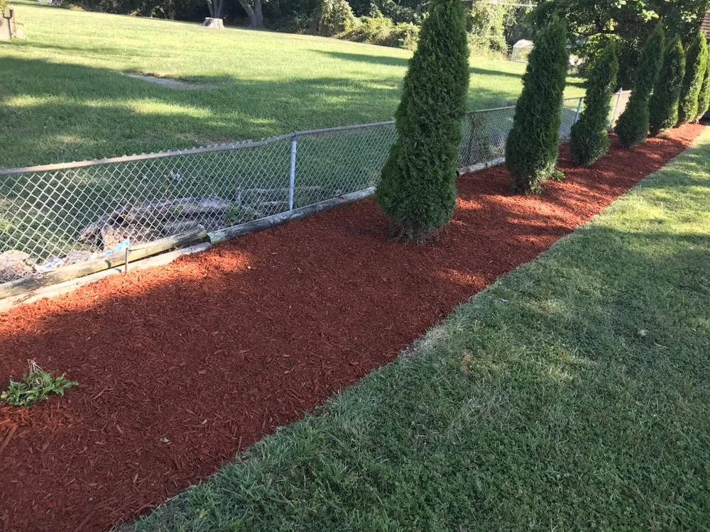 Professional lawn care service in Rosedale, MD - Woody Lawn Care