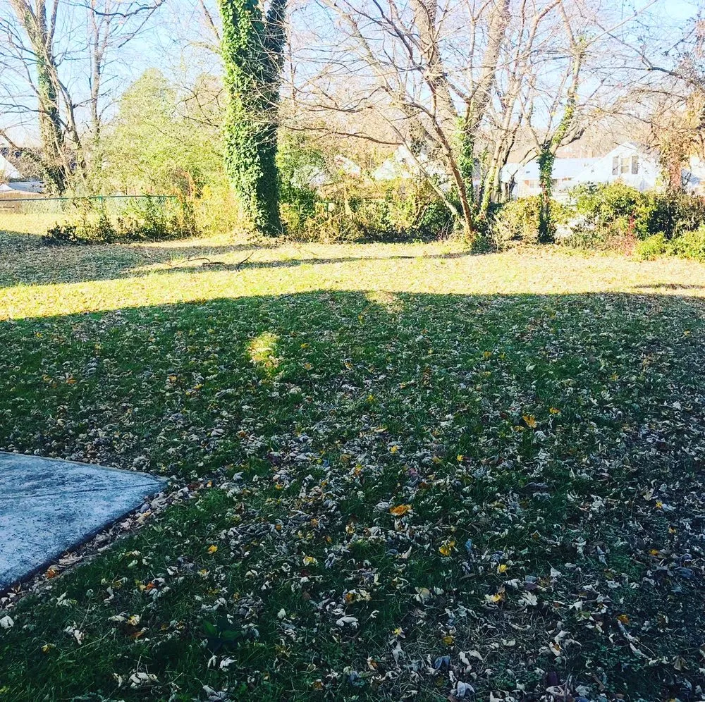 Custom outdoor landscaping for year-round maintenance in Rosedale, MD by Woody Lawn Care