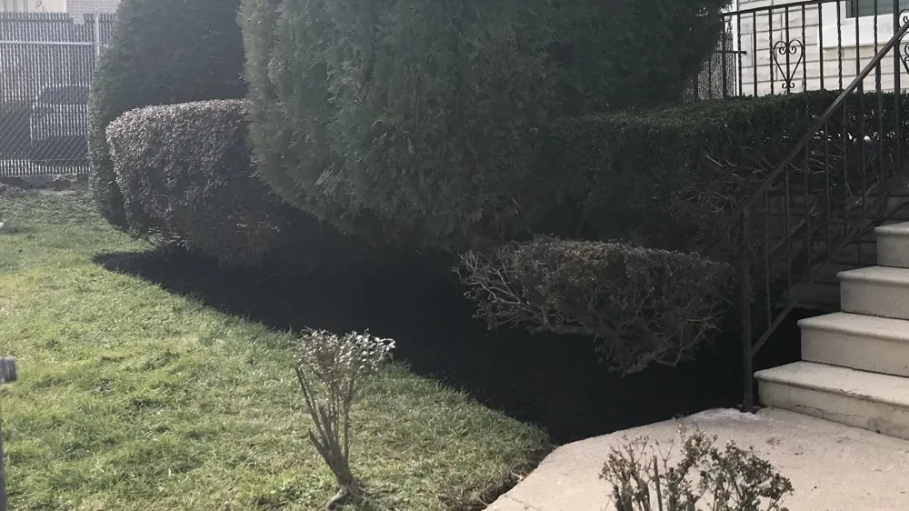 Reliable yard maintenance for homes in Rosedale, MD by Woody Lawn Care