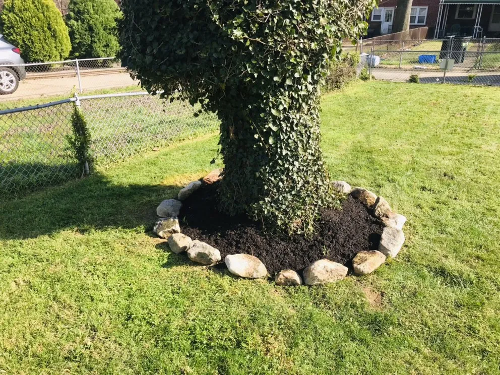 Affordable landscape installation for beautiful yards in Rosedale, MD by Woody Lawn Care