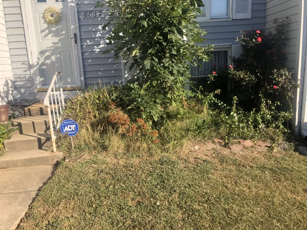 Expert lawn care service with custom design in Rosedale, MD by Woody Lawn Care