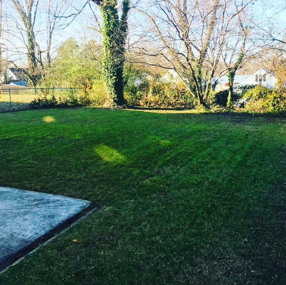 Top-rated residential landscaping in Rosedale, MD by Woody Lawn Care