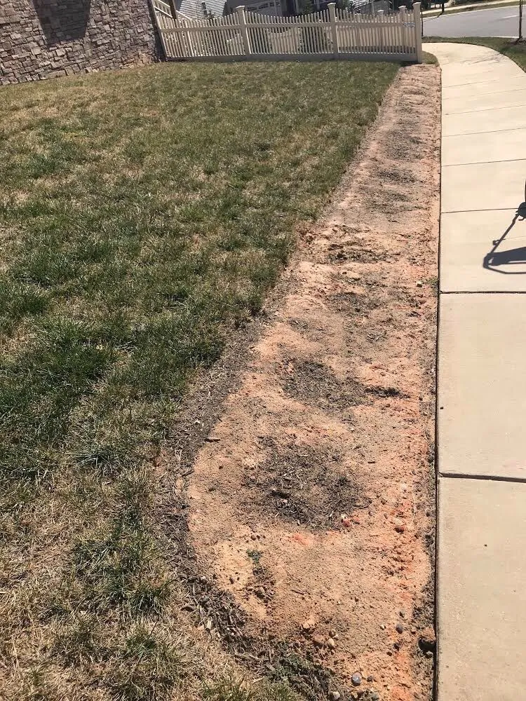 Reliable yard maintenance experts serving Rosedale, MD - Woody Lawn Care