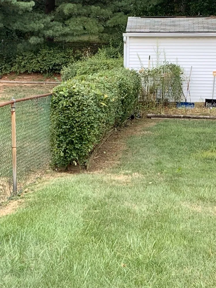 Professional outdoor landscaping for residential properties in Rosedale, MD by Woody Lawn Care