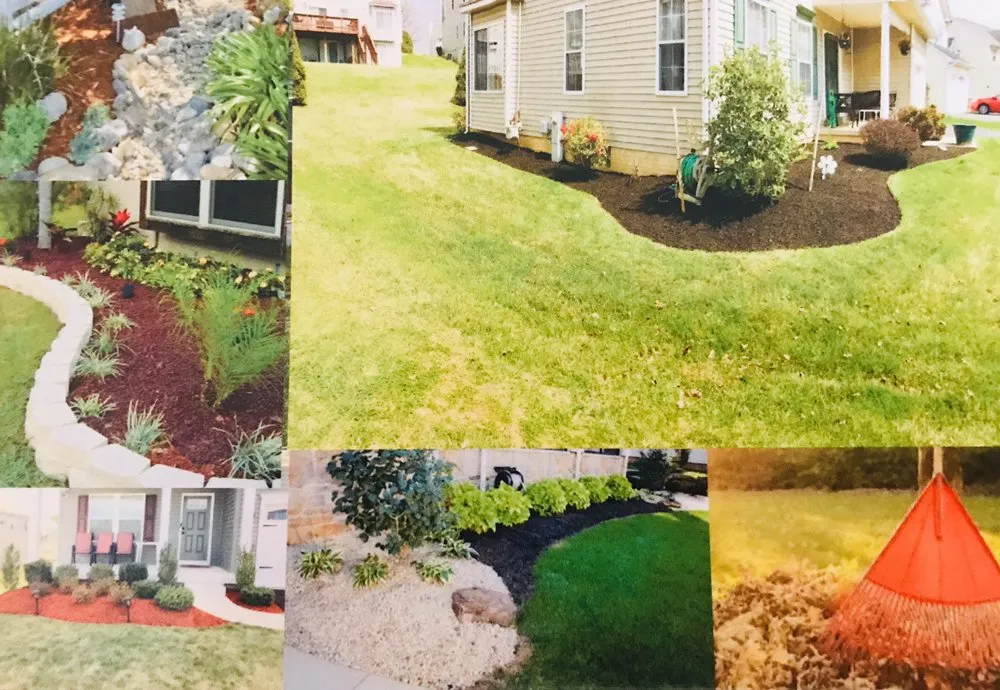 Local yard maintenance with custom design across Rosedale, MD - Woody Lawn Care